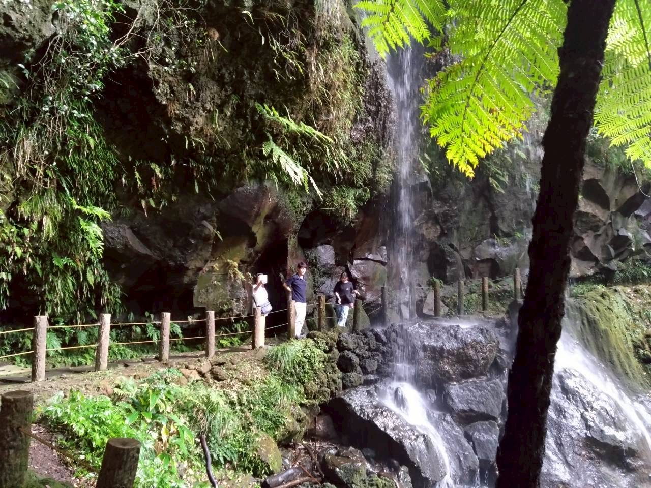 紹介5